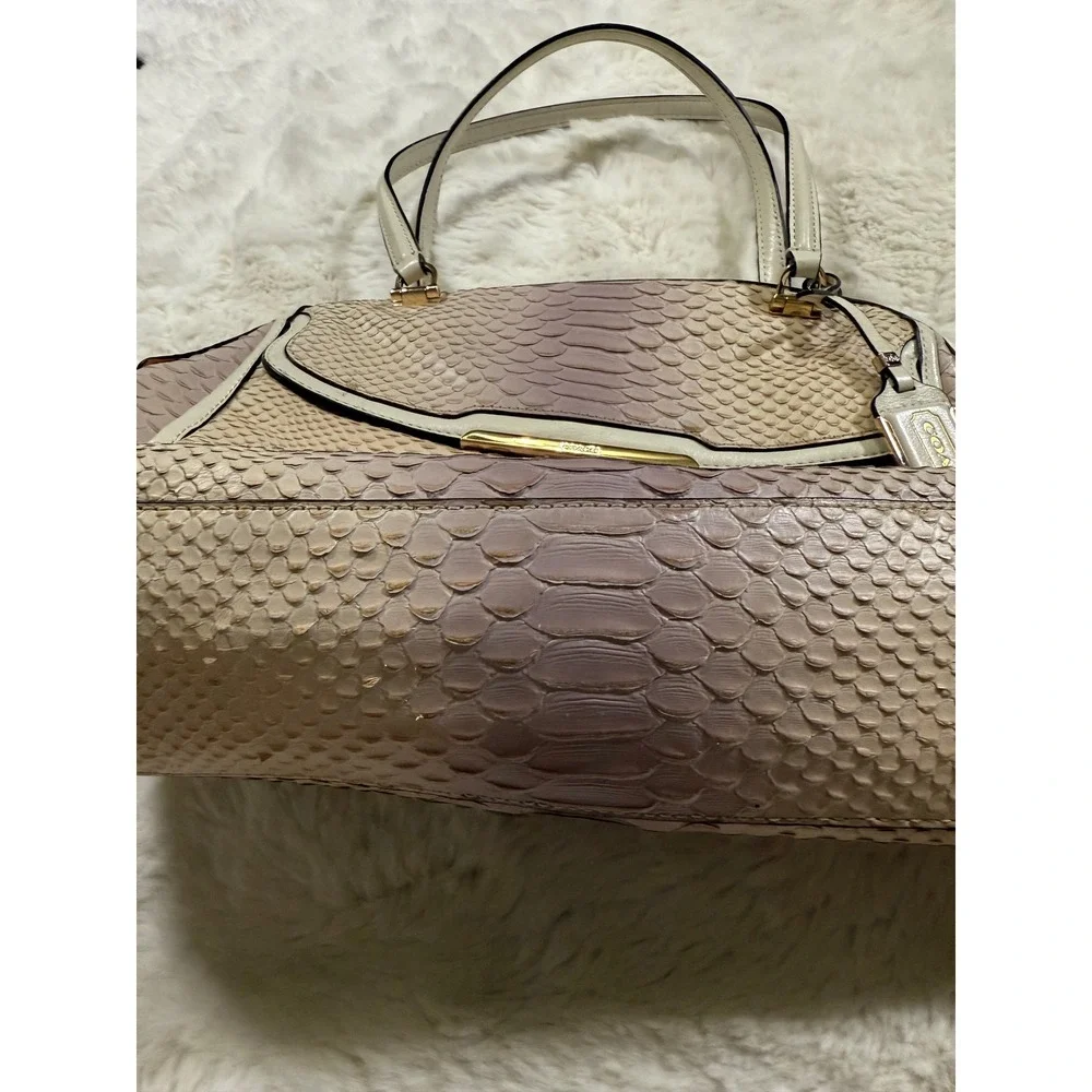 Coach Madison Pinnacle Python Ombre Snakeskin Leather Bag Purse Vintage Chic